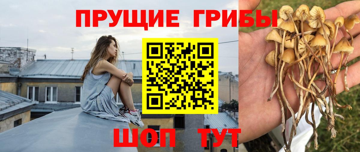 Галлюциногенные грибы MAGIC MUSHROOMS Приморско-Ахтарск