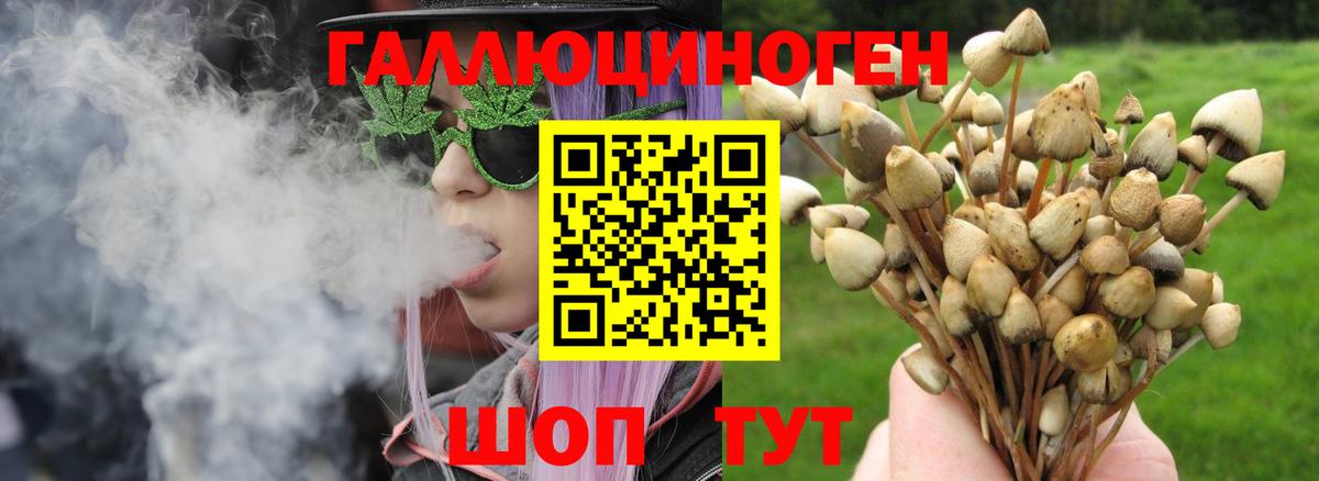Галлюциногенные грибы Cubensis  Вход с VPN  Приморско-Ахтарск 
