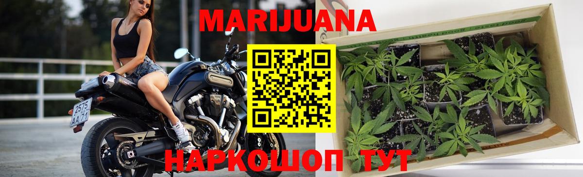 Бошки Шишки план  Вход с VPN  Приморско-Ахтарск  Бошки Шишки Amnesia  Канабис SATIVA & INDICA  Бошки Шишки LSD WEED 